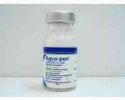 Picture of BENZYL PENICILLIN 1 M.I.U. B.P2004 VIAL.