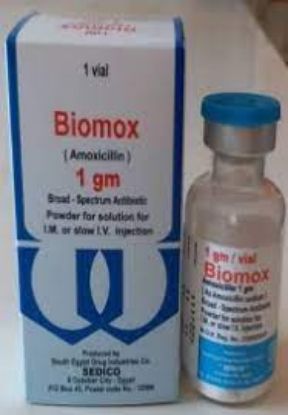 Picture of BIOMOX 1 GM VIAL