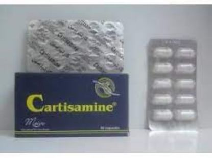 Picture of CARTISAMINE 30 CAPS.