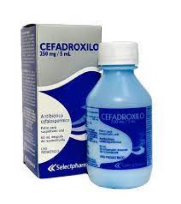 Picture of CEFADROXIL 250MG/5ML PD. FOR ORAL SUSP. 60ML