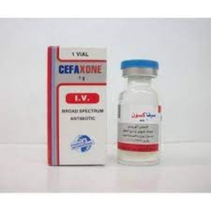 Picture of CEFAXONE 1 GM I.V. VIAL