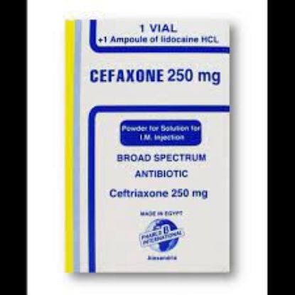 Picture of CEFAXONE 250MG I.M.VIAL.