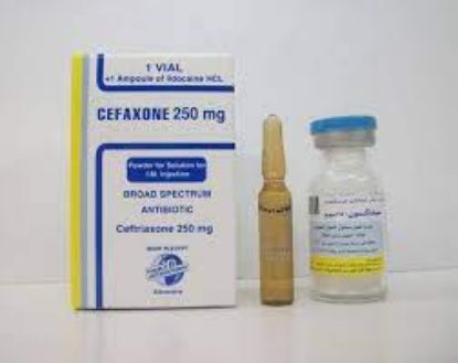 Picture of CEFAXONE 250MG I.V. VIAL.