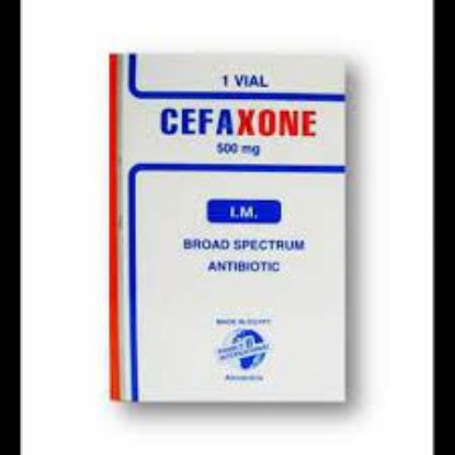 Picture of CEFAXONE 500MG I.M. VIAL