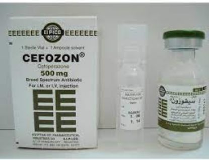 Picture of CEFRAZON 500MG VIAL