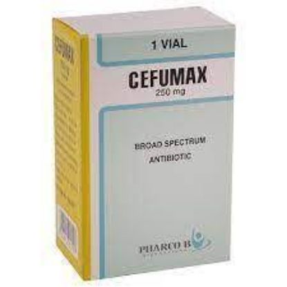 Picture of CEFUMAX 250MG I.V./I.M.VIAL