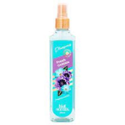Picture of DAMA FRESH 250 ML