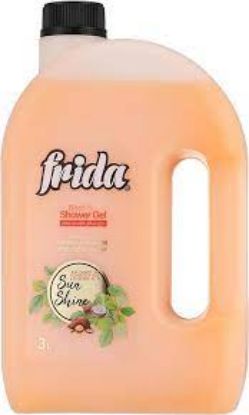 Picture of Frida Shower Gel With Sun Shine Scent 3 Litre