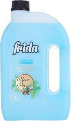 Picture of Frida Shower Gel With Clear Sky Scent 3 Litre