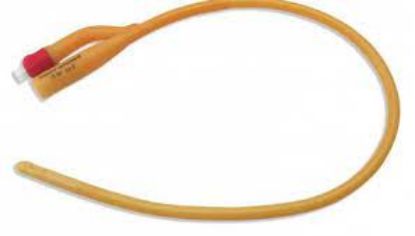 Picture of Foley catheter Size 18