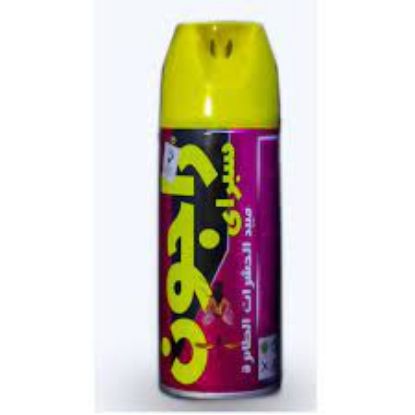 Picture of Ragon Flying Insect Killer 250 ml