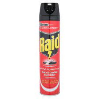 Picture of Raid Roach & Crawling Insects Killer, 400 ml