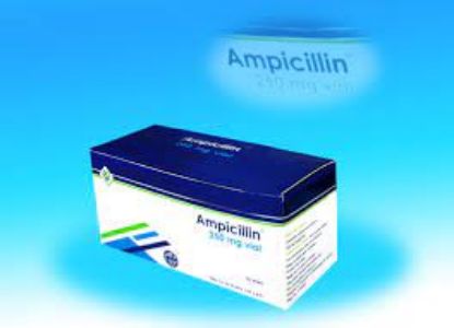 Picture of AMPICILLIN-MISR 250 MG 12 CAPS.
